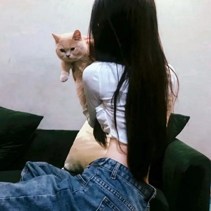 小西天狄道传奇